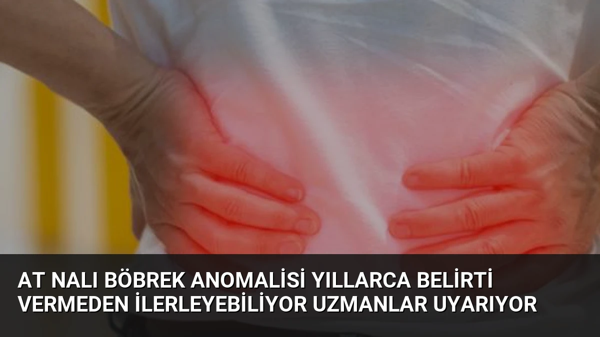 At Nalı Böbrek Anomalisi Yıllarca Belirti Vermeden İlerleyebiliyor Uzmanlar Uyarıyor