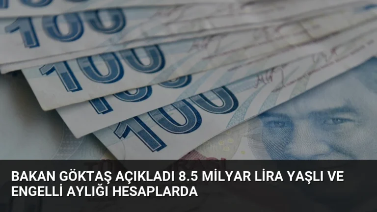 Bakan Göktaş Açıkladı 8.5 Milyar Lira Yaşlı ve Engelli Aylığı Hesaplarda