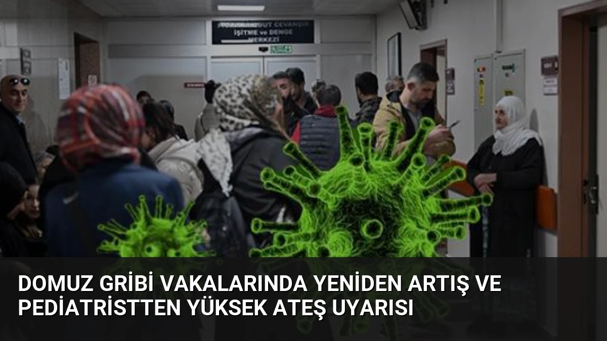 Domuz Gribi Vakalarında Yeniden Artış ve Pediatristten Yüksek Ateş Uyarısı