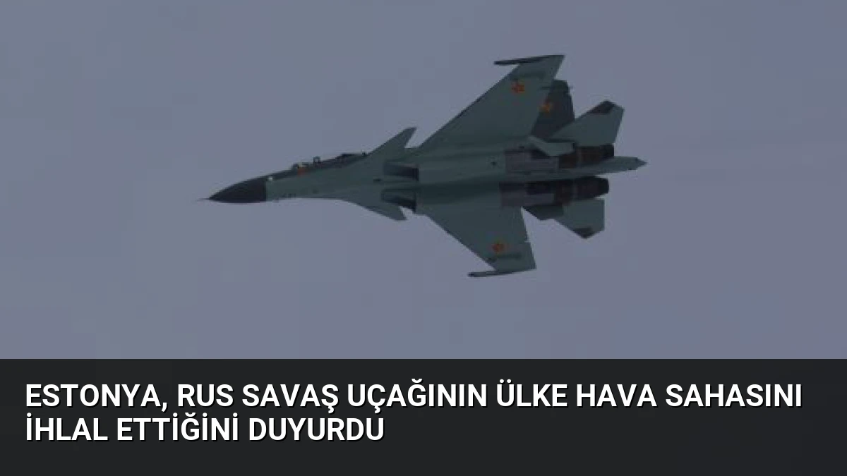 Estonya, Rus savaş uçağının ülke hava sahasını ihlal ettiğini duyurdu