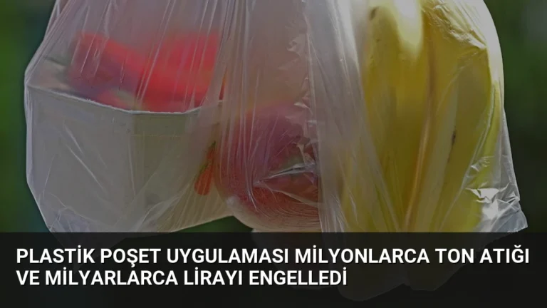 Plastik Poşet Uygulaması Milyonlarca Ton Atığı ve Milyarlarca Lirayı Engelledi