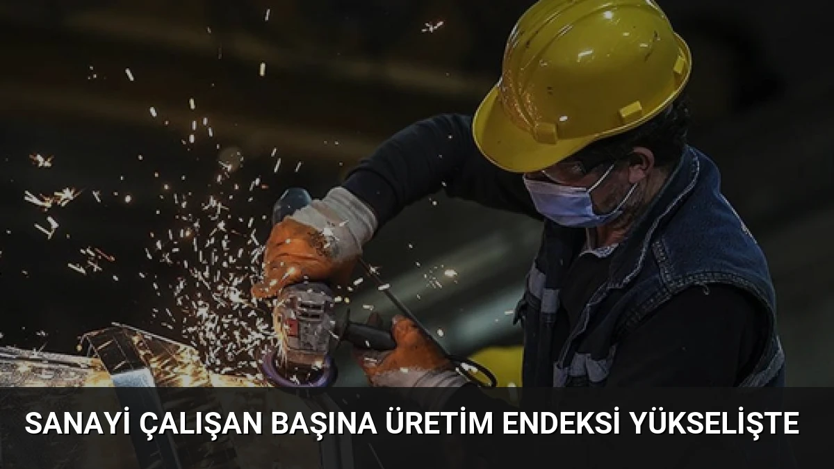 Sanayi Çalışan Başına Üretim Endeksi Yükselişte