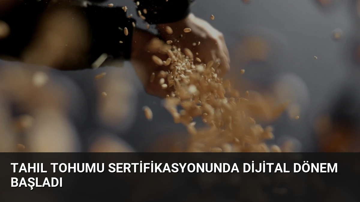 Tahıl Tohumu Sertifikasyonunda Dijital Dönem Başladı