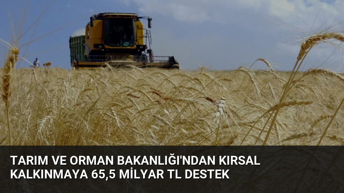 Tarım ve Orman Bakanlığı’ndan Kırsal Kalkınmaya 65,5 Milyar TL Destek