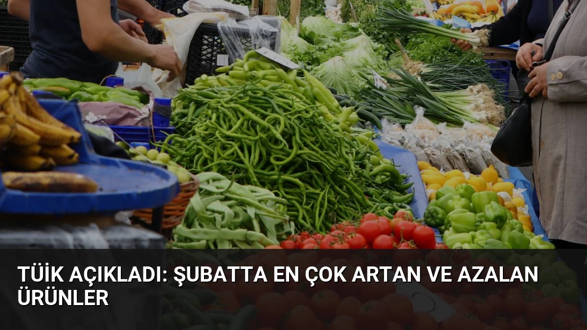 TÜİK Açıkladı: Şubatta En Çok Artan ve Azalan Ürünler
