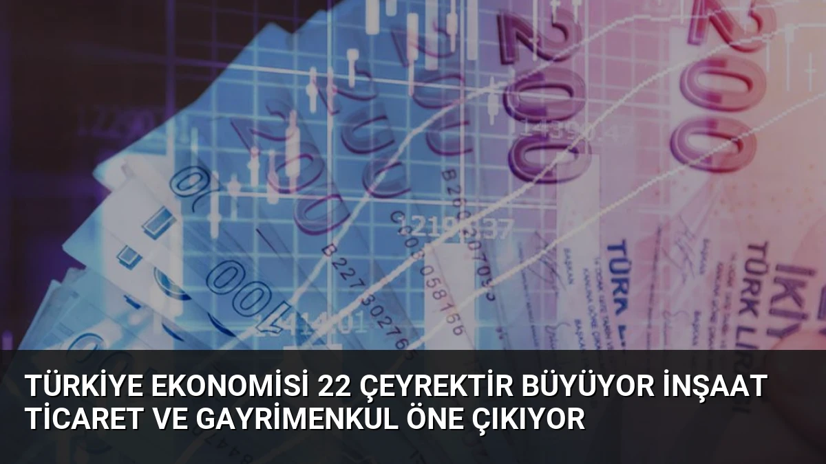 Türkiye Ekonomisi 22 Çeyrektir Büyüyor İnşaat Ticaret ve Gayrimenkul Öne Çıkıyor