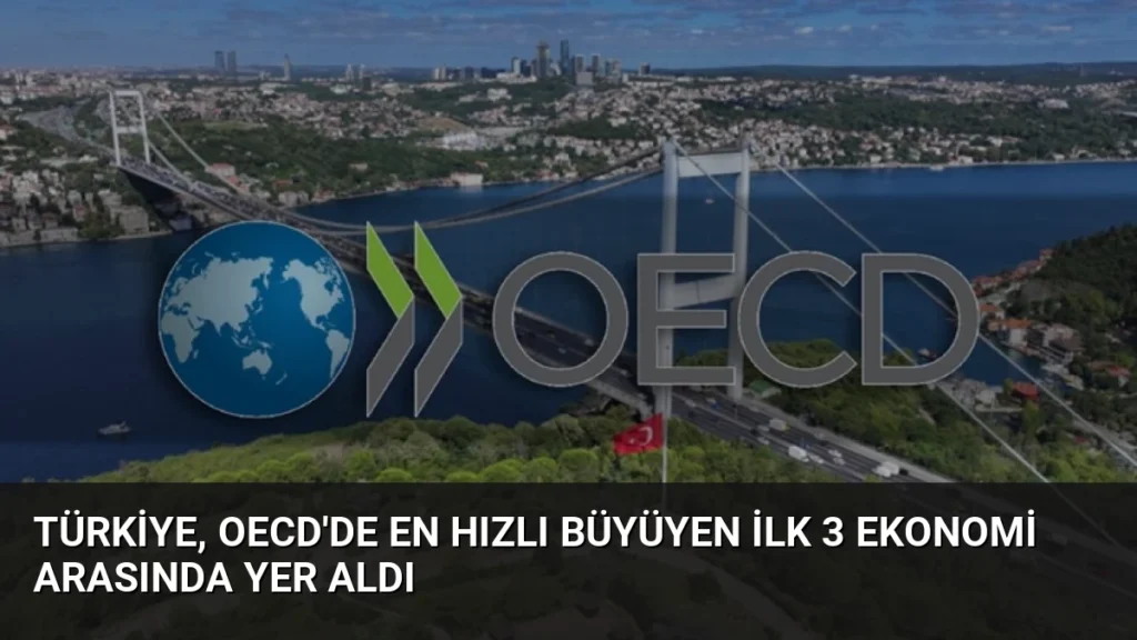 Türkiye, OECD'de En Hızlı Büyüyen İlk 3 Ekonomi Arasında Yer Aldı