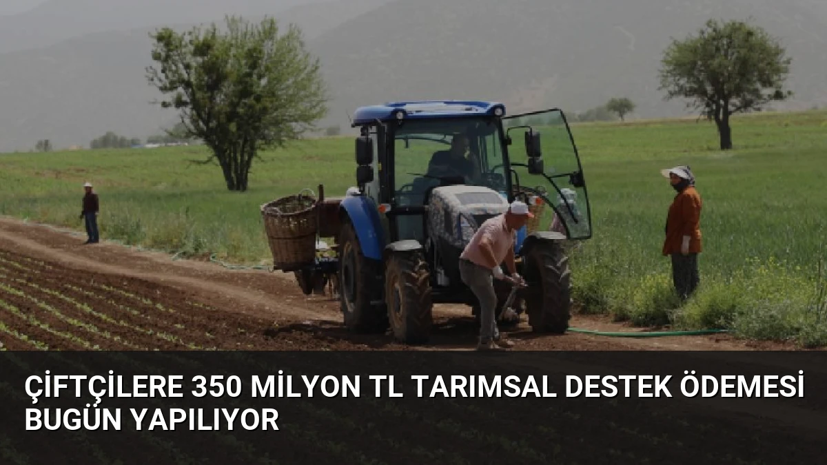 Çiftçilere 350 Milyon TL Tarımsal Destek Ödemesi Bugün Yapılıyor