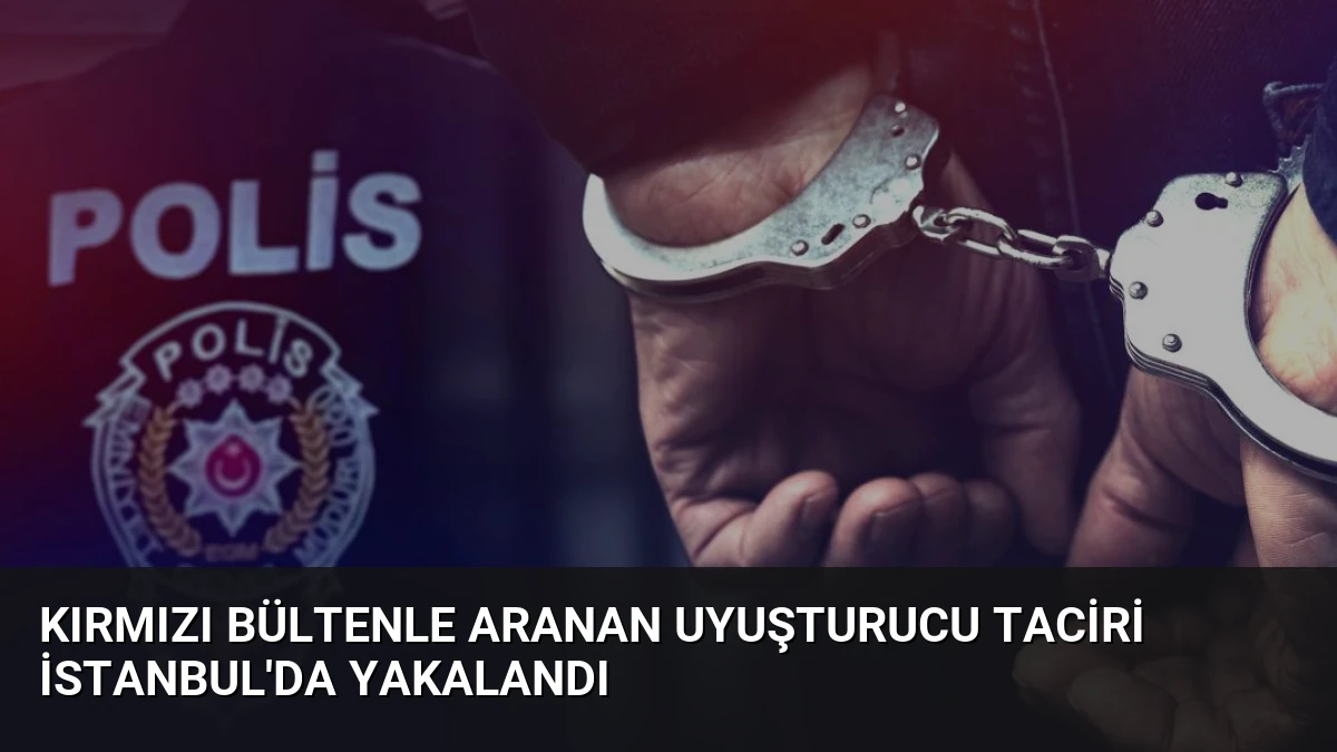 Kırmızı Bültenle Aranan Uyuşturucu Taciri İstanbul’da Yakalandı