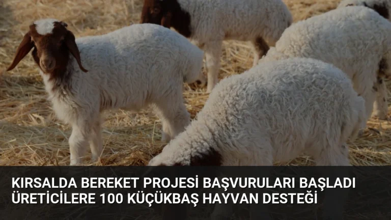 Kırsalda Bereket Projesi Başvuruları Başladı Üreticilere 100 Küçükbaş Hayvan Desteği