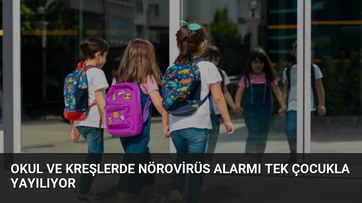 Okul ve Kreşlerde Nörovirüs Alarmı Tek Çocukla Yayılıyor