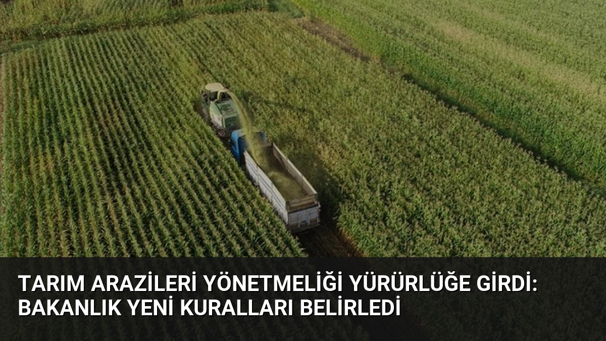 Tarım Arazileri Yönetmeliği Yürürlüğe Girdi: Bakanlık Yeni Kuralları Belirledi