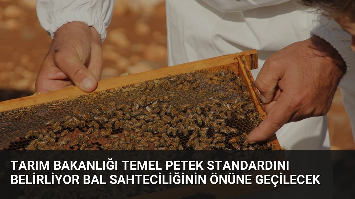 Tarım Bakanlığı Temel Petek Standardını Belirliyor Bal Sahteciliğinin Önüne Geçilecek