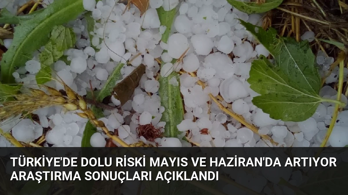 Türkiye’de Dolu Riski Mayıs ve Haziran’da Artıyor Araştırma Sonuçları Açıklandı