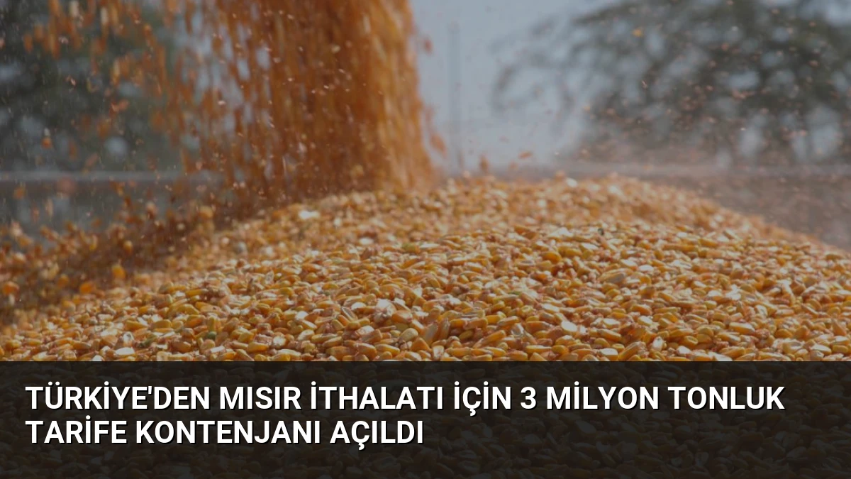 Türkiye’den Mısır İthalatı İçin 3 Milyon Tonluk Tarife Kontenjanı Açıldı