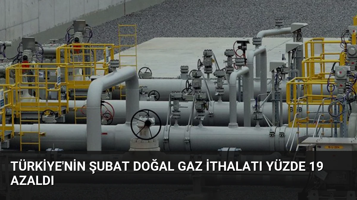 Türkiye’nin Şubat Doğal Gaz İthalatı Yüzde 19 Azaldı