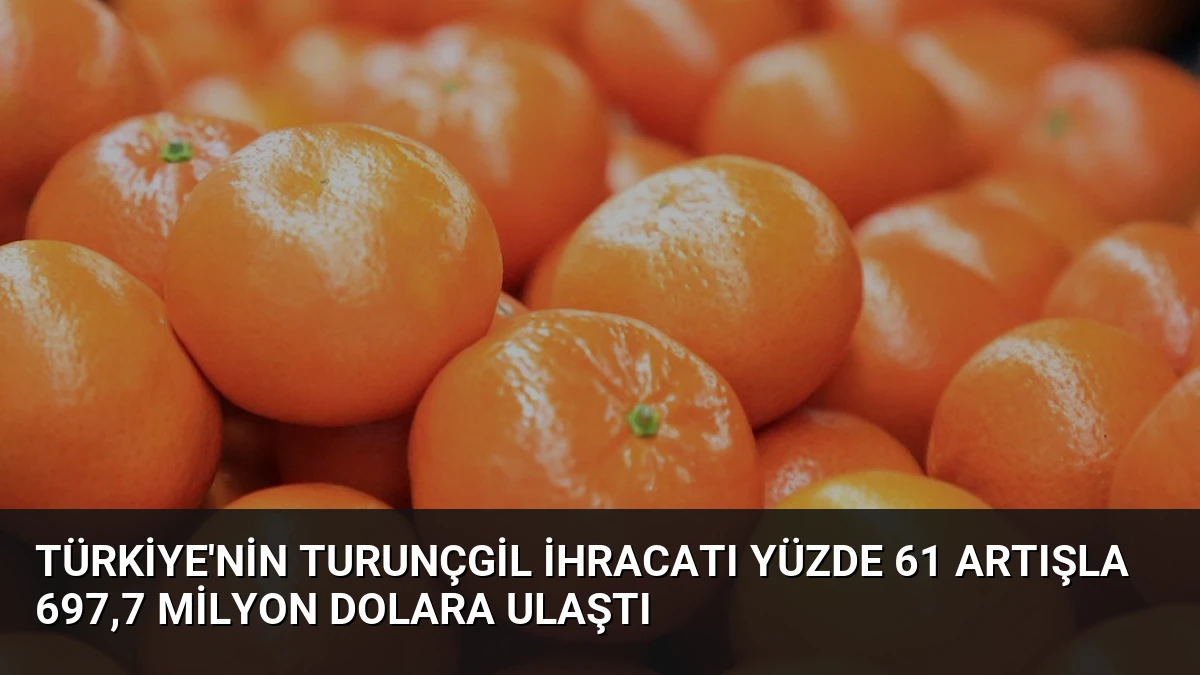 Türkiye’nin Turunçgil İhracatı Yüzde 61 Artışla 697,7 Milyon Dolara Ulaştı