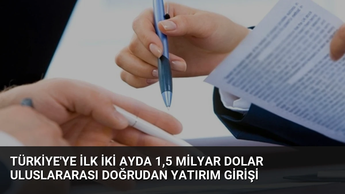 Türkiye’ye İlk İki Ayda 1,5 Milyar Dolar Uluslararası Doğrudan Yatırım Girişi