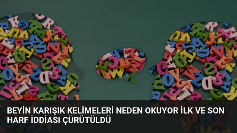 Beyin Karışık Kelimeleri Neden Okuyor İlk ve Son Harf İddiası Çürütüldü