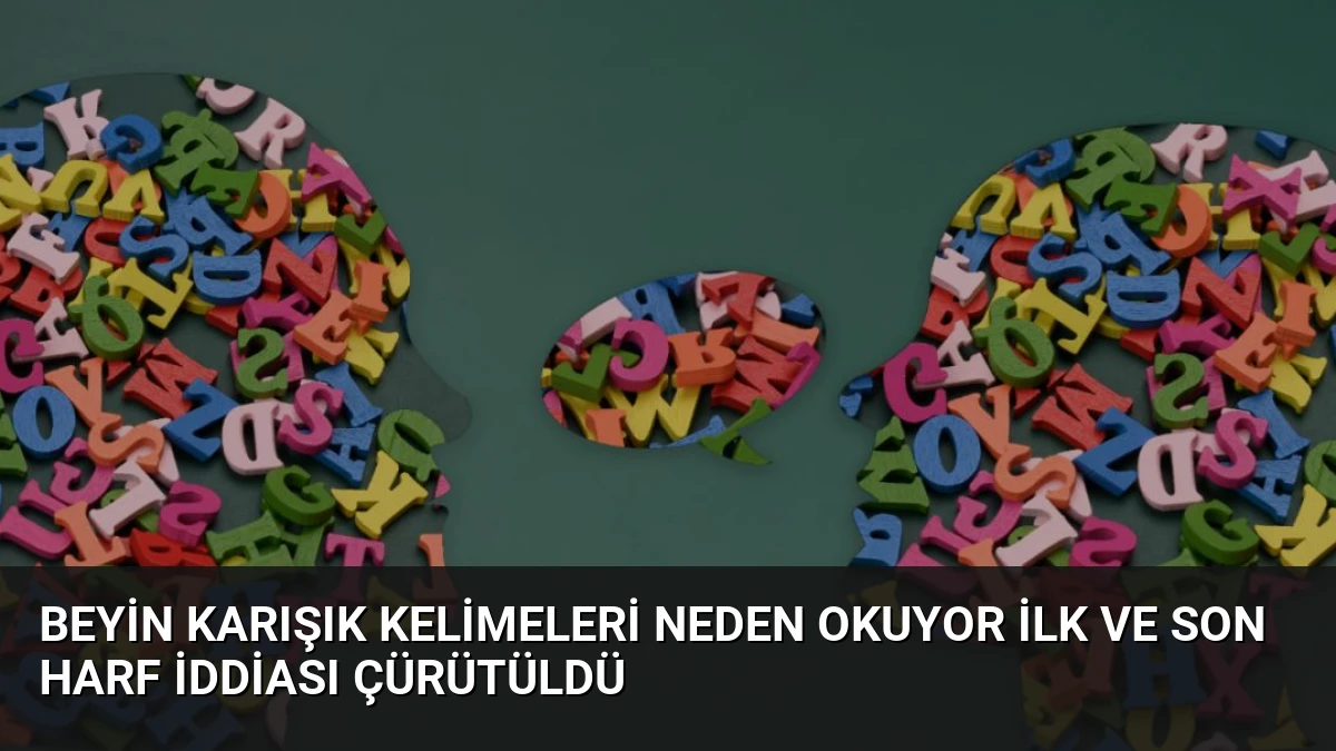 Beyin Karışık Kelimeleri Neden Okuyor İlk ve Son Harf İddiası Çürütüldü