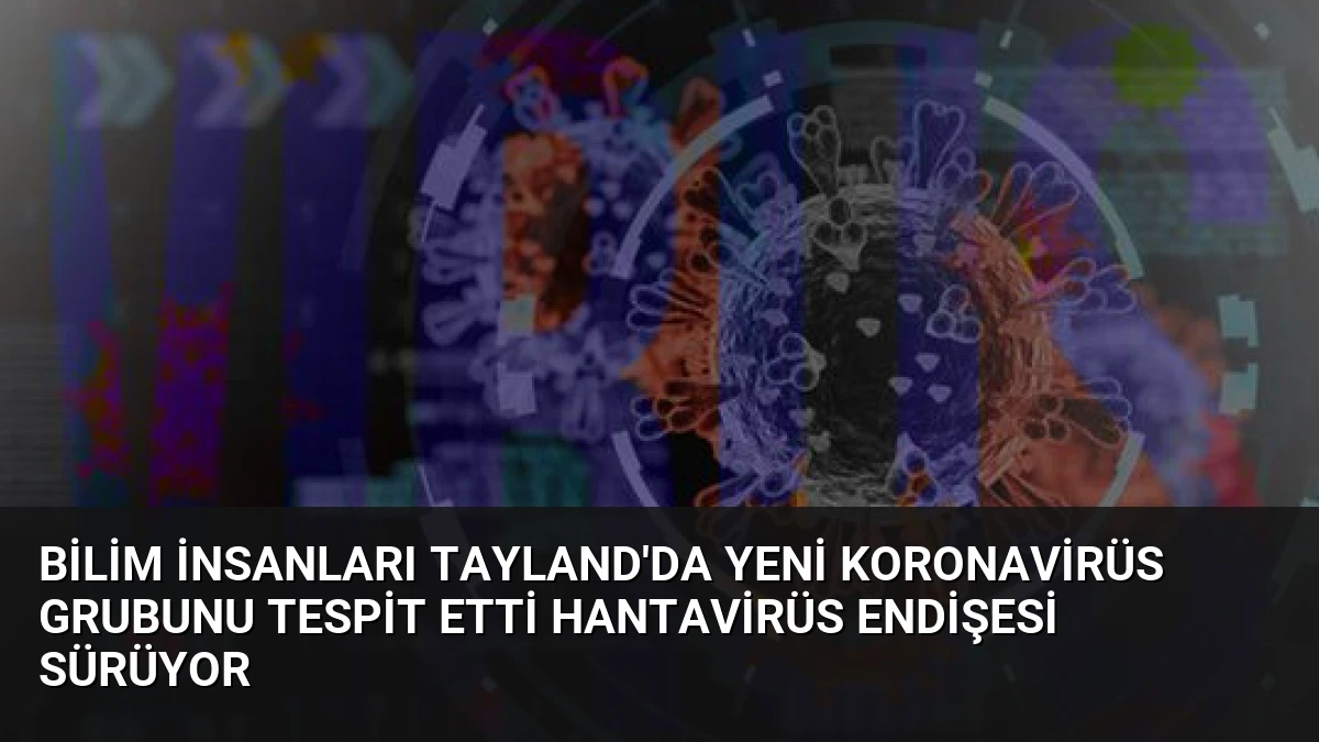 Bilim İnsanları Tayland’da Yeni Koronavirüs Grubunu Tespit Etti Hantavirüs Endişesi Sürüyor
