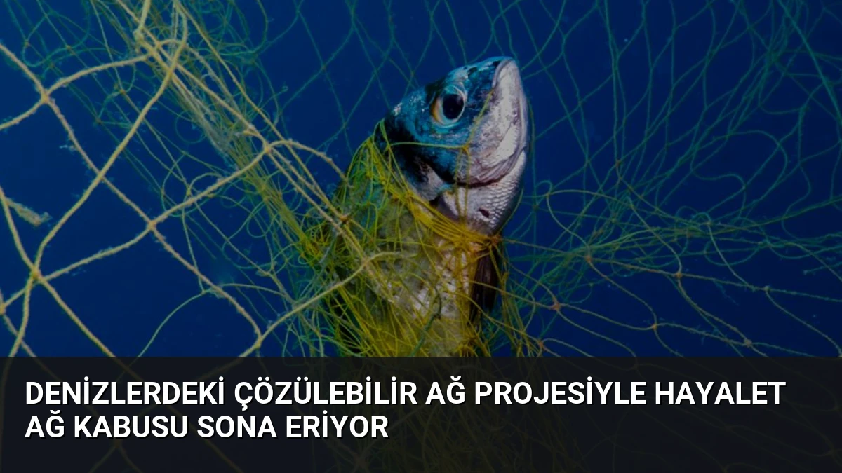 Denizlerdeki Çözülebilir Ağ Projesiyle Hayalet Ağ Kabusu Sona Eriyor