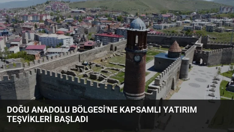 Doğu Anadolu Bölgesi’ne Kapsamlı Yatırım Teşvikleri Başladı