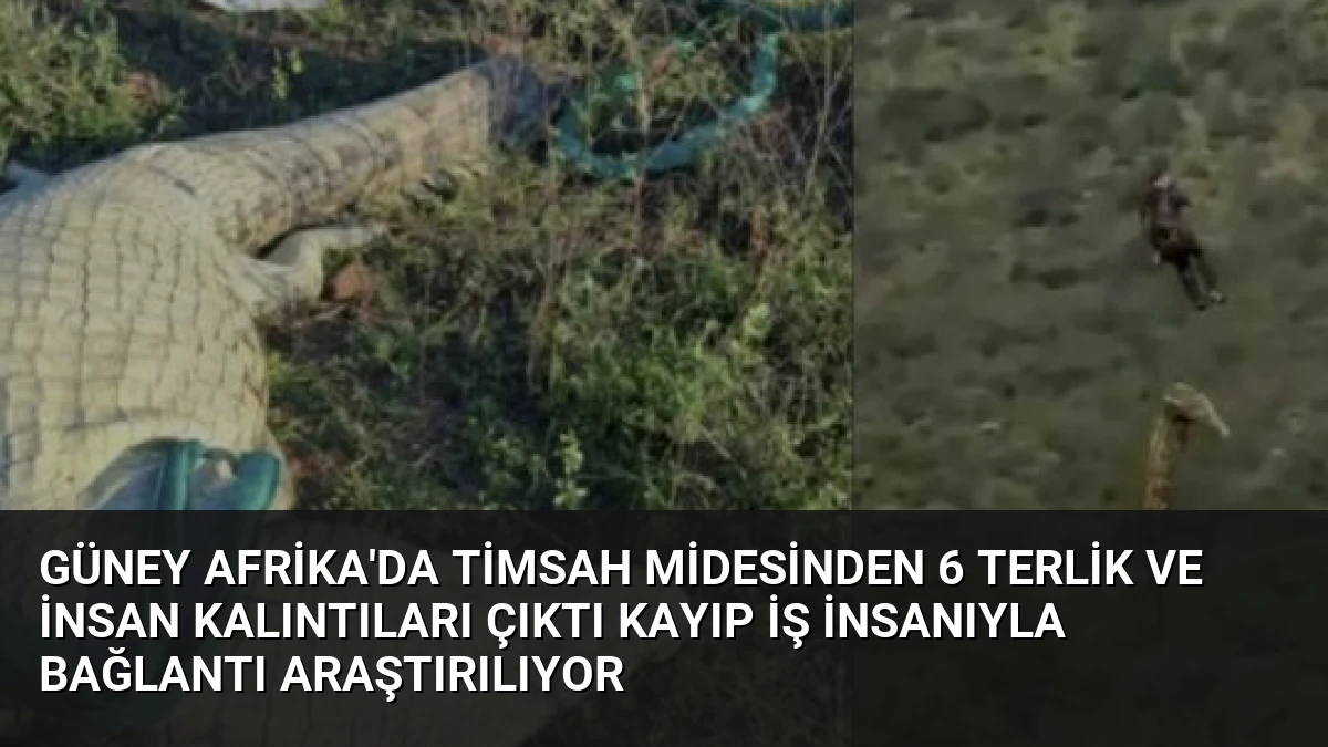 Güney Afrika’da Timsah Midesinden 6 Terlik ve İnsan Kalıntıları Çıktı Kayıp İş İnsanıyla Bağlantı Araştırılıyor