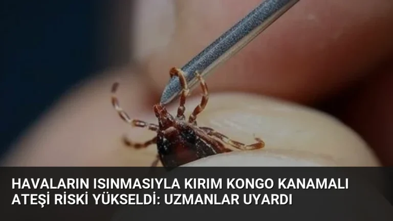 Havaların Isınmasıyla Kırım Kongo Kanamalı Ateşi Riski Yükseldi: Uzmanlar Uyardı