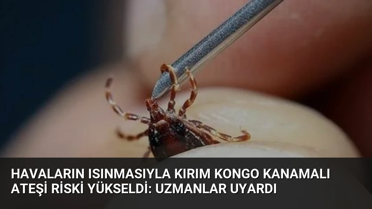 Havaların Isınmasıyla Kırım Kongo Kanamalı Ateşi Riski Yükseldi: Uzmanlar Uyardı
