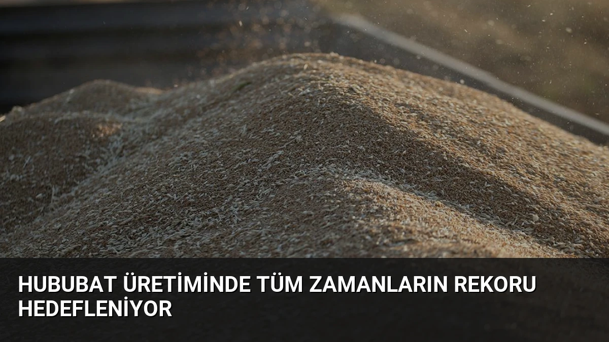 Hububat Üretiminde Tüm Zamanların Rekoru Hedefleniyor