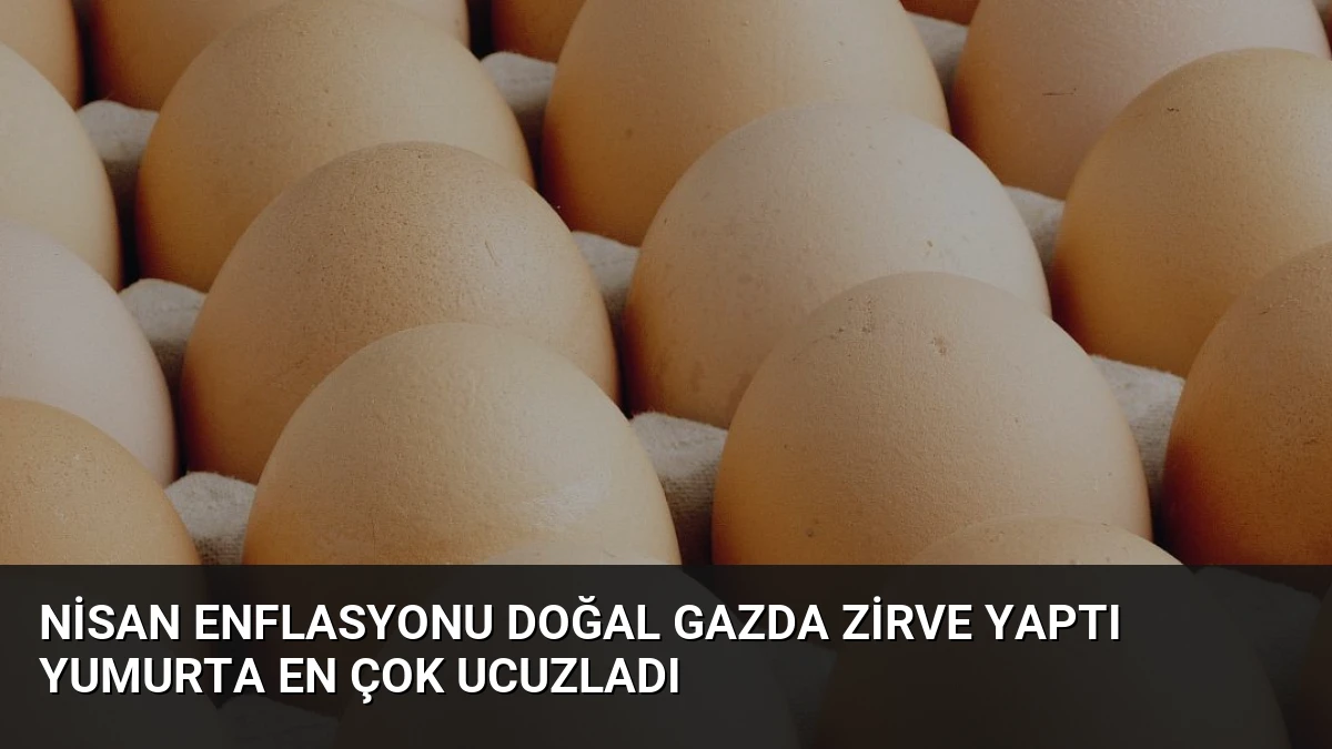 Nisan Enflasyonu Doğal Gazda Zirve Yaptı Yumurta En Çok Ucuzladı