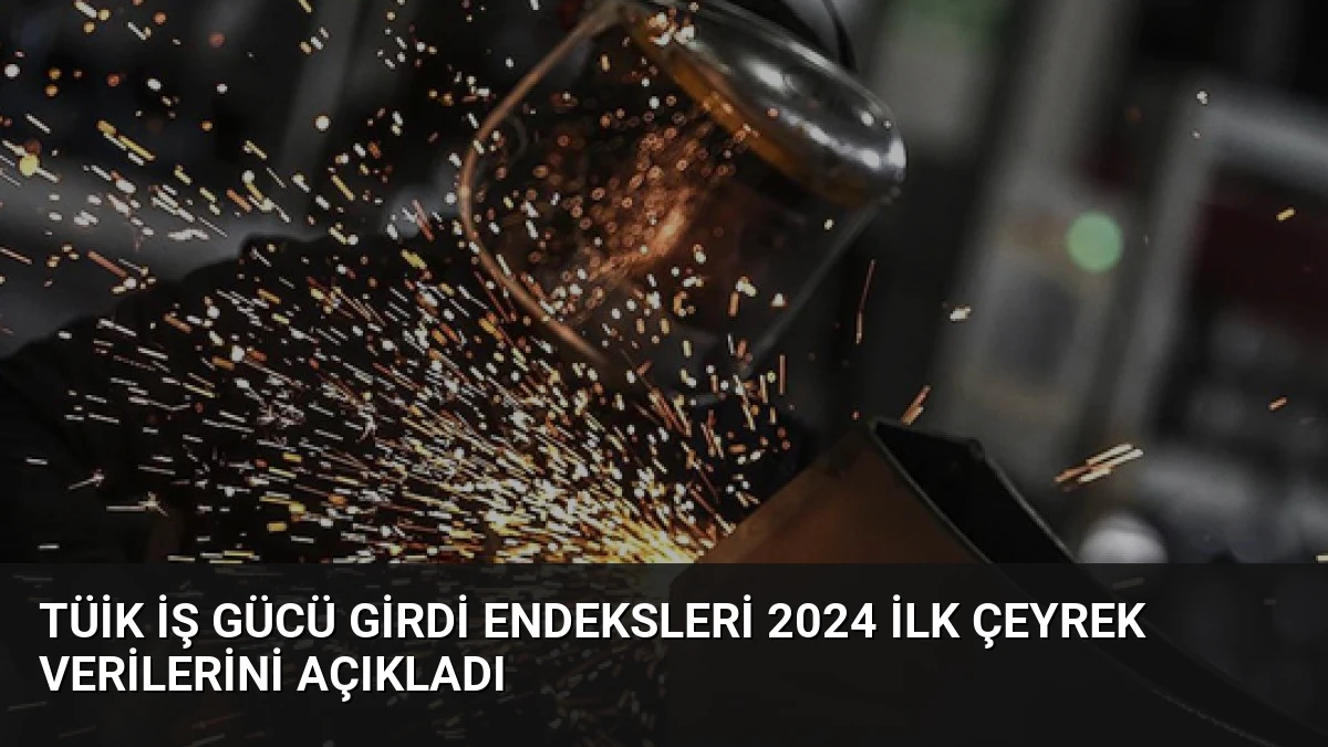 TÜİK İş Gücü Girdi Endeksleri 2024 İlk Çeyrek Verilerini Açıkladı