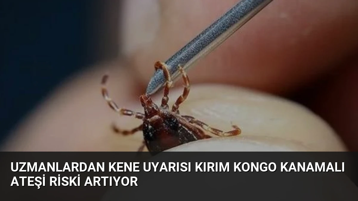 Uzmanlardan Kene Uyarısı Kırım Kongo Kanamalı Ateşi Riski Artıyor