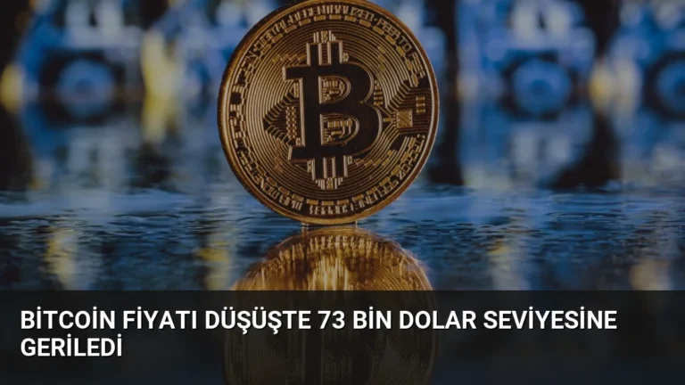 Bitcoin Fiyatı Düşüşte 73 Bin Dolar Seviyesine Geriledi