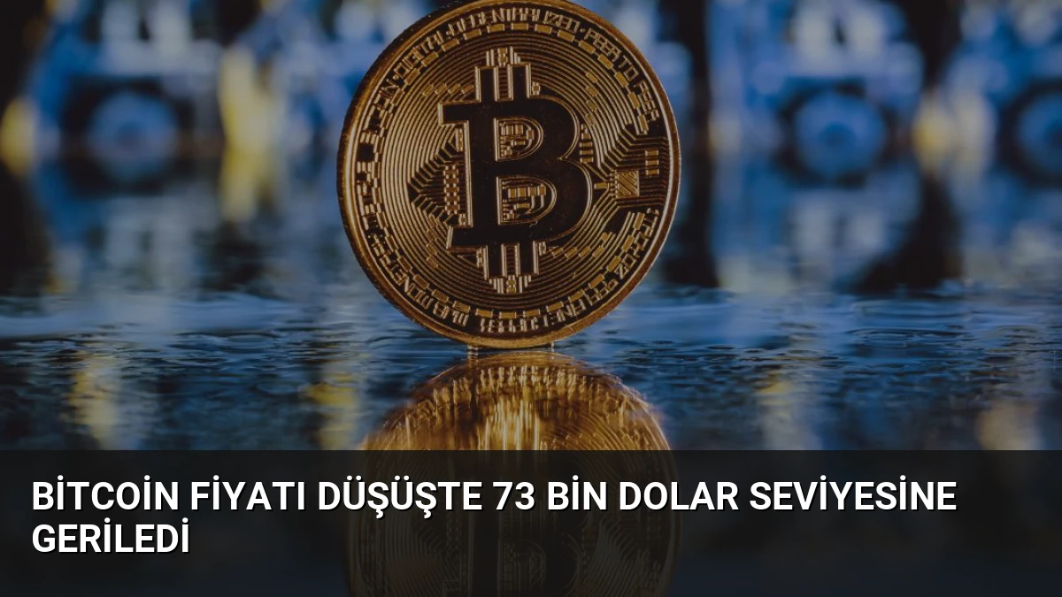 Bitcoin Fiyatı Düşüşte 73 Bin Dolar Seviyesine Geriledi