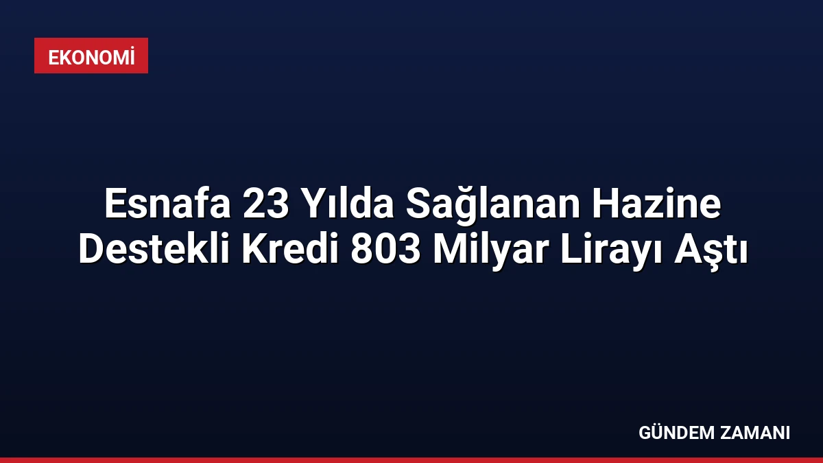 Esnafa 23 Yılda Sağlanan Hazine Destekli Kredi 803 Milyar Lirayı Aştı