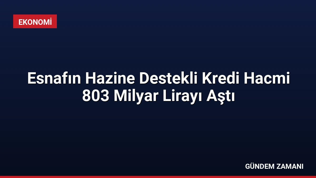 Esnafın Hazine Destekli Kredi Hacmi 803 Milyar Lirayı Aştı
