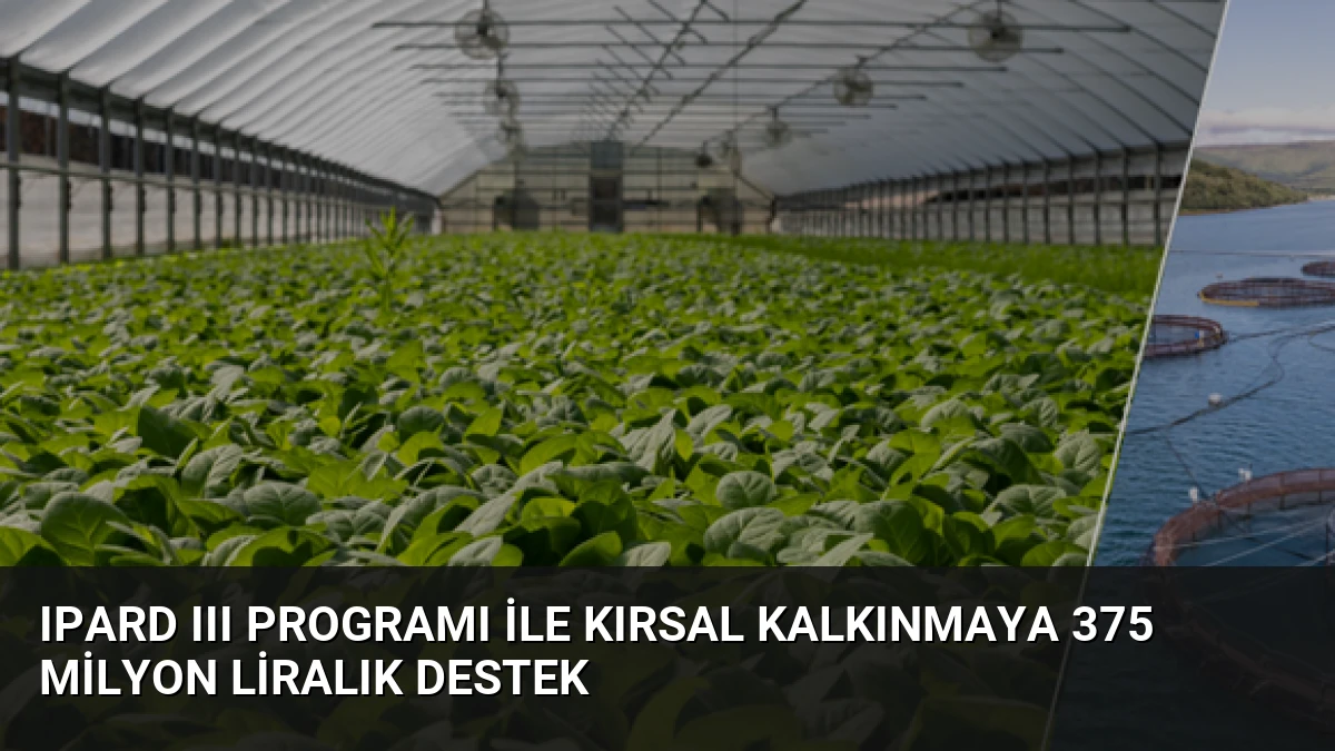 IPARD III Programı ile kırsal kalkınmaya 375 milyon liralık destek