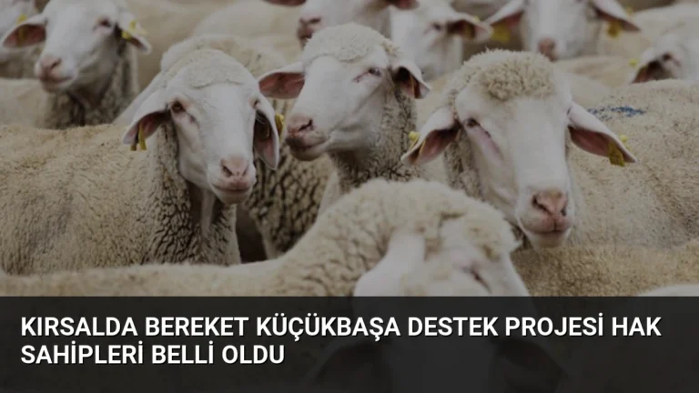 Kırsalda Bereket Küçükbaşa Destek Projesi Hak Sahipleri Belli Oldu