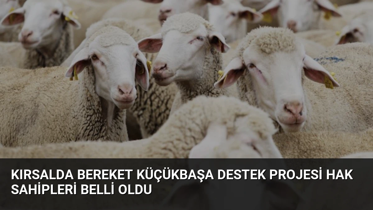 Kırsalda Bereket Küçükbaşa Destek Projesi Hak Sahipleri Belli Oldu