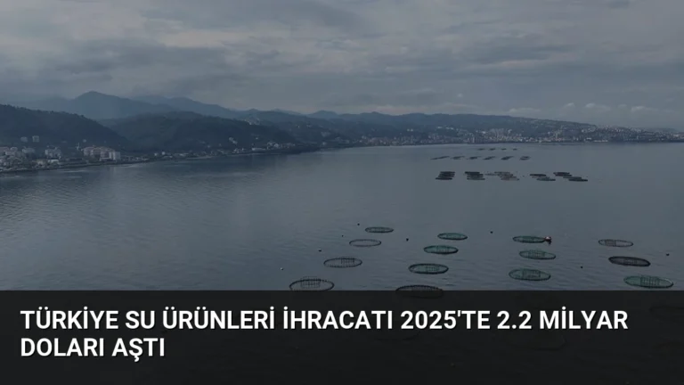 Türkiye Su Ürünleri İhracatı 2025’te 2.2 Milyar Doları Aştı