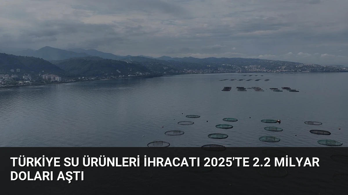 Türkiye Su Ürünleri İhracatı 2025’te 2.2 Milyar Doları Aştı