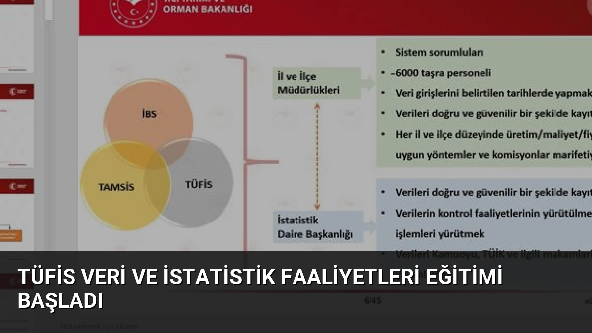 TÜFİS Veri ve İstatistik Faaliyetleri Eğitimi Başladı
