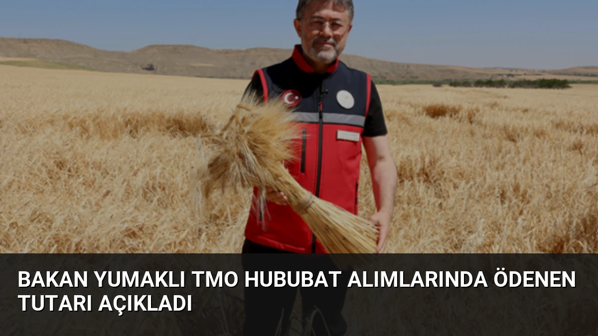 Bakan Yumaklı TMO Hububat Alımlarında Ödenen Tutarı Açıkladı