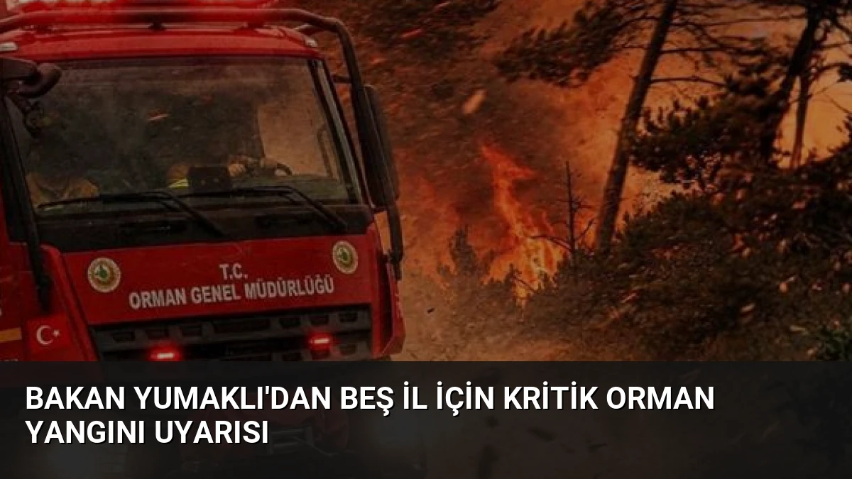 Bakan Yumaklı’dan beş il için kritik orman yangını uyarısı