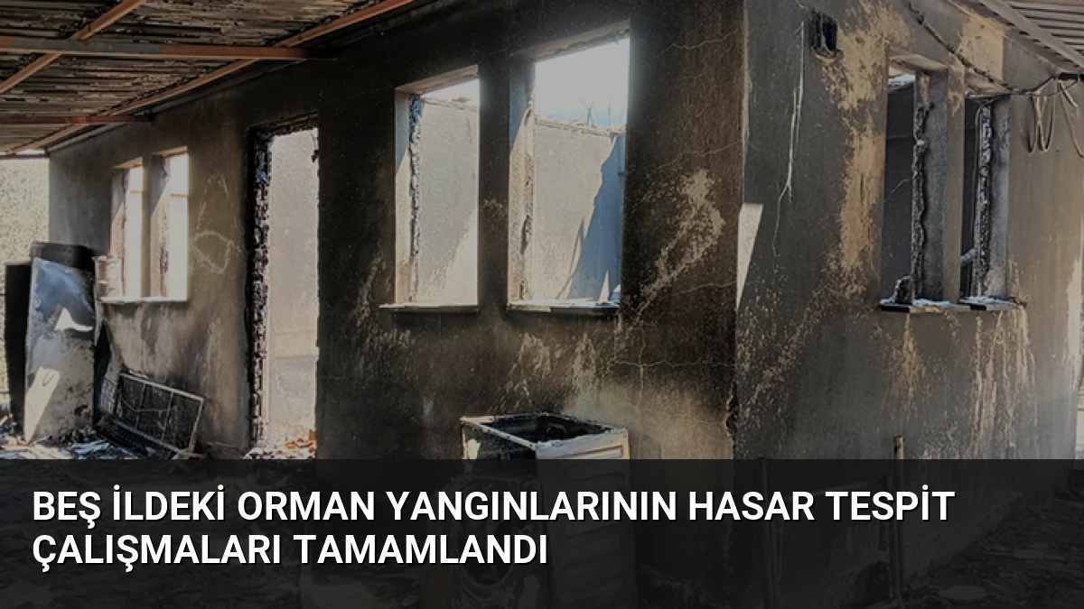 Beş ildeki orman yangınlarının hasar tespit çalışmaları tamamlandı