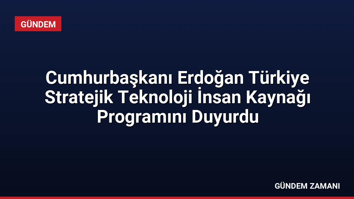 Cumhurbaşkanı Erdoğan Türkiye Stratejik Teknoloji İnsan Kaynağı Programını Duyurdu