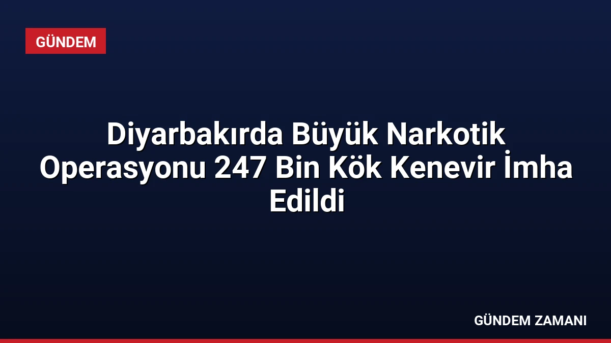 Diyarbakırda Büyük Narkotik Operasyonu 247 Bin Kök Kenevir İmha Edildi
