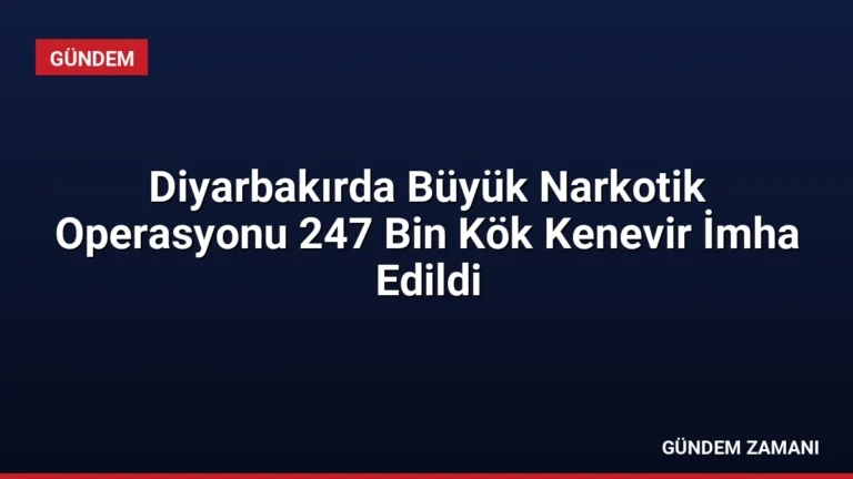 Diyarbakırda Büyük Narkotik Operasyonu 247 Bin Kök Kenevir İmha Edildi